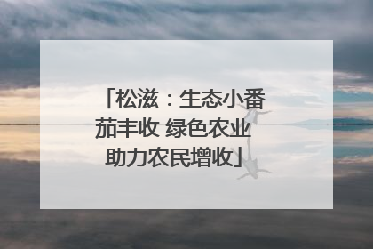 松滋：生态小番茄丰收 绿色农业助力农民增收