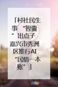 村社民生事 “智囊”出点子 嘉兴市秀洲区推行AI“民情一本账”