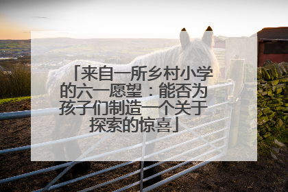 来自一所乡村小学的六一愿望：能否为孩子们制造一个关于探索的惊喜