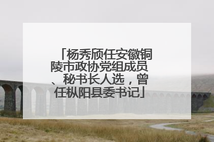 杨秀颀任安徽铜陵市政协党组成员、秘书长人选，曾任枞阳县委书记