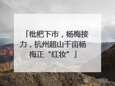 枇杷下市，杨梅接力，杭州超山千亩杨梅正“红妆”