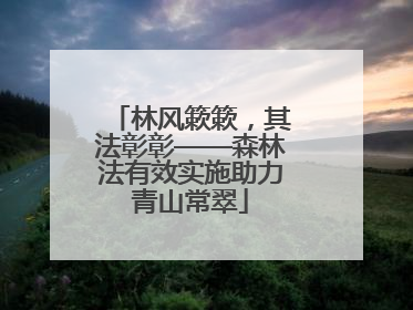 林风簌簌，其法彰彰——森林法有效实施助力青山常翠