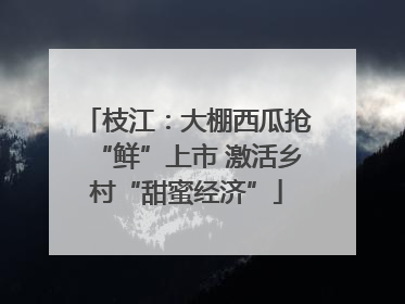 枝江：大棚西瓜抢“鲜”上市 激活乡村“甜蜜经济”