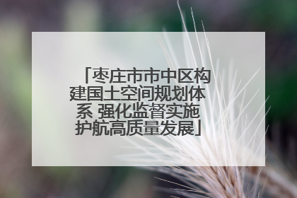 枣庄市市中区构建国土空间规划体系 强化监督实施护航高质量发展