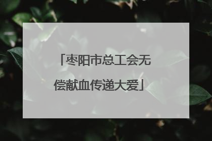 枣阳市总工会无偿献血传递大爱