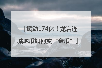 撬动174亿！龙岩连城地瓜如何变“金瓜”