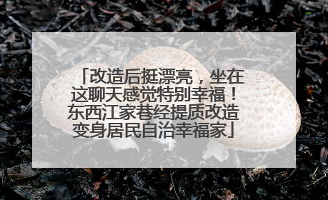 改造后挺漂亮，坐在这聊天感觉特别幸福！东西江家巷经提质改造变身居民自治幸福家
