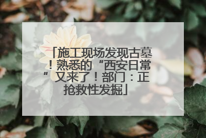 施工现场发现古墓！熟悉的“西安日常”又来了！部门：正抢救性发掘