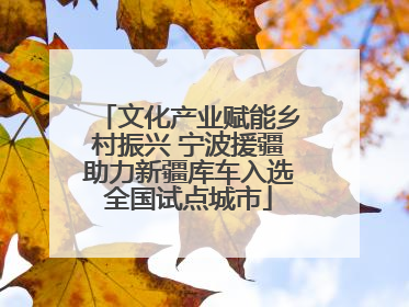 文化产业赋能乡村振兴 宁波援疆助力新疆库车入选全国试点城市