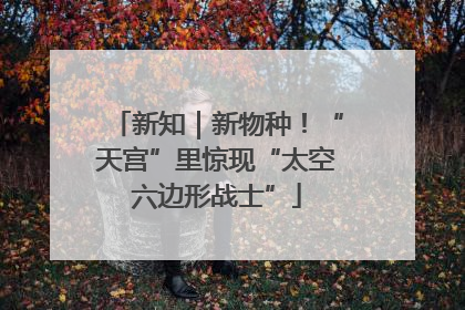 新知｜新物种！“天宫”里惊现“太空六边形战士”
