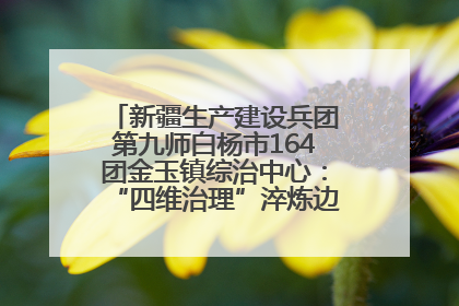 新疆生产建设兵团第九师白杨市164团金玉镇综治中心：“四维治理”淬炼边疆“枫桥样本”