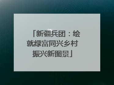 新疆兵团：绘就绿富同兴乡村振兴新图景