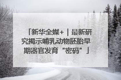 新华全媒+｜最新研究揭示哺乳动物胚胎早期器官发育“密码”