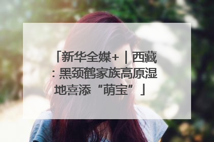 新华全媒+｜西藏：黑颈鹤家族高原湿地喜添“萌宝”