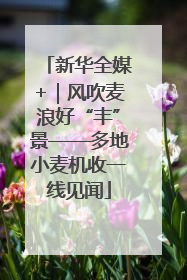新华全媒+｜风吹麦浪好“丰”景——多地小麦机收一线见闻