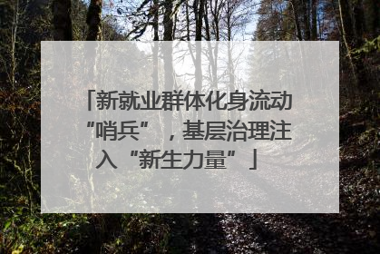 新就业群体化身流动“哨兵”，基层治理注入“新生力量”