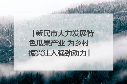 新民市大力发展特色瓜果产业 为乡村振兴注入强劲动力