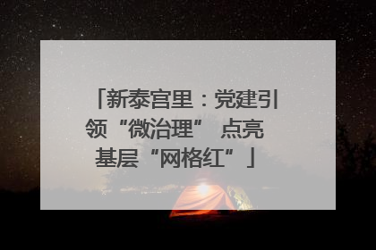 新泰宫里：党建引领“微治理” 点亮基层“网格红”