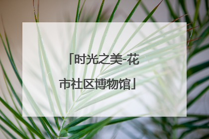 时光之美-花市社区博物馆