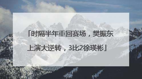 时隔半年重回赛场，樊振东上演大逆转，3比2徐瑛彬