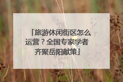 旅游休闲街区怎么运营？全国专家学者齐聚岳阳献策