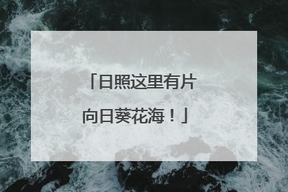 日照这里有片向日葵花海！