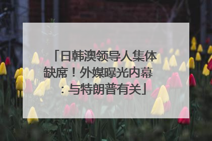 日韩澳领导人集体缺席！外媒曝光内幕：与特朗普有关