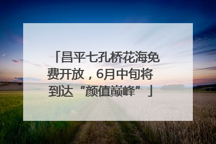 昌平七孔桥花海免费开放，6月中旬将到达“颜值巅峰”