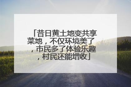昔日黄土地变共享菜地，不仅环境美了，市民多了体验乐趣，村民还能增收