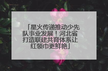 星火传递推动少先队事业发展！河北省打造联建共育体系让红领巾更鲜艳