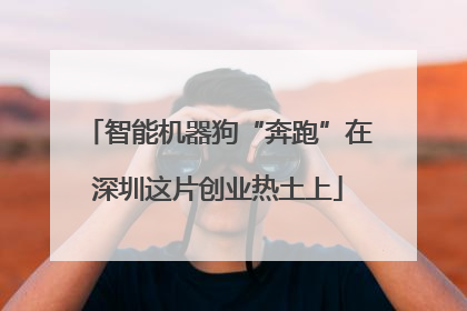 智能机器狗“奔跑”在深圳这片创业热土上