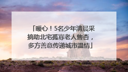 暖心！5名少年清晨采摘助北宅孤寡老人售杏，多方善意传递城市温情