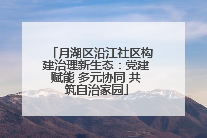 月湖区沿江社区构建治理新生态：党建赋能 多元协同 共筑自治家园