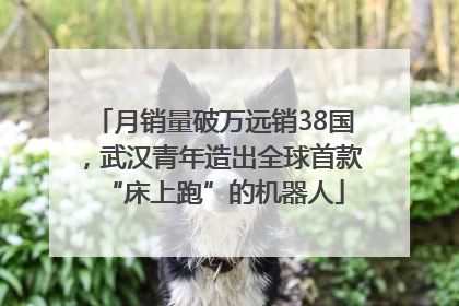 月销量破万远销38国，武汉青年造出全球首款“床上跑”的机器人