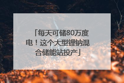 每天可储80万度电！这个大型锂钠混合储能站投产
