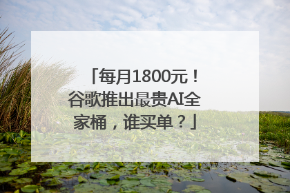 每月1800元！谷歌推出最贵AI全家桶，谁买单？