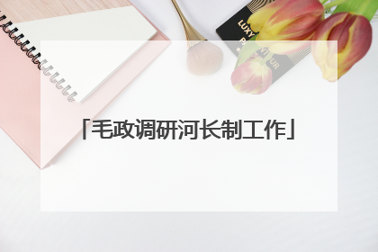 毛政调研河长制工作