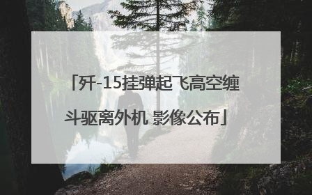 歼-15挂弹起飞高空缠斗驱离外机 影像公布