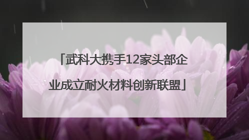 武科大携手12家头部企业成立耐火材料创新联盟