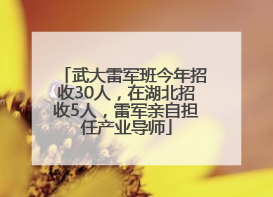 武大雷军班今年招收30人，在湖北招收5人，雷军亲自担任产业导师