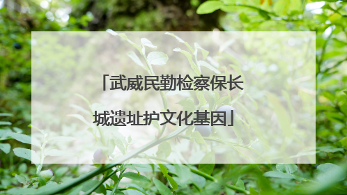 武威民勤检察保长城遗址护文化基因