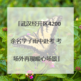 武汉经开区4200余名学子雨中赴考 考场外再现暖心场景