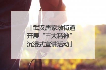 武汉唐家墩街道开展“三大精神”沉浸式宣讲活动