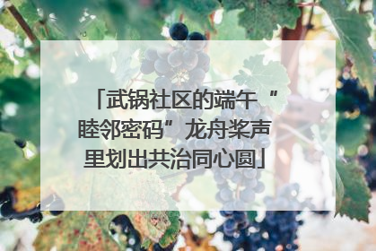 武锅社区的端午“睦邻密码”龙舟桨声里划出共治同心圆