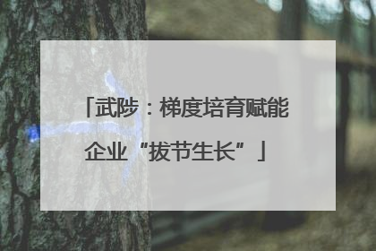 武陟：梯度培育赋能企业“拔节生长”