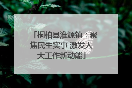 桐柏县淮源镇：聚焦民生实事 激发人大工作新动能