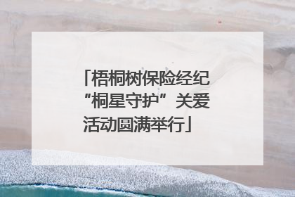梧桐树保险经纪“桐星守护”关爱活动圆满举行
