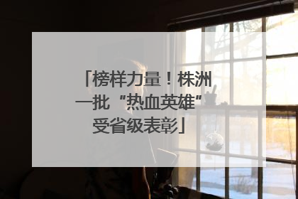 榜样力量！株洲一批“热血英雄”受省级表彰