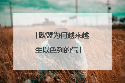 欧盟为何越来越生以色列的气