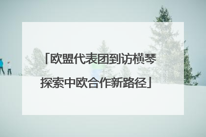 欧盟代表团到访横琴 探索中欧合作新路径